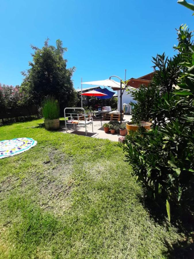 Cabana Corazon De Colchagua Sta Cruz Lägenhet Nancagua  Exteriör bild